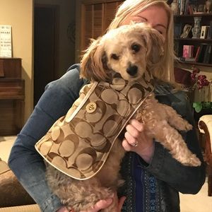 Rare!! Coach-Signature Brown khaki Dog-Coat